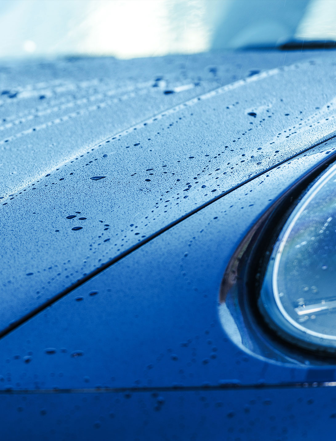 Water beading on glossy ceramic-coated paint